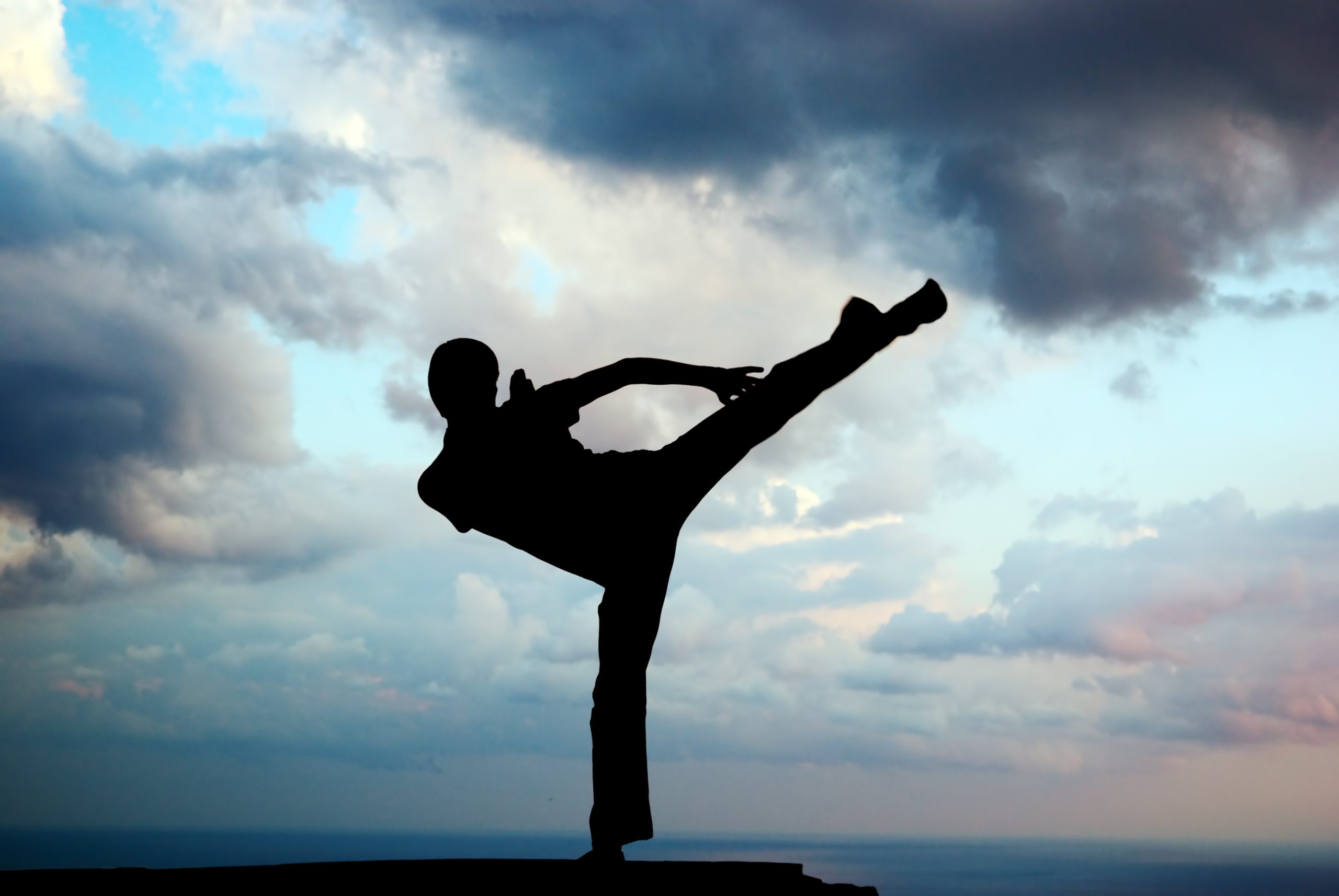 Silhouette Karate Image